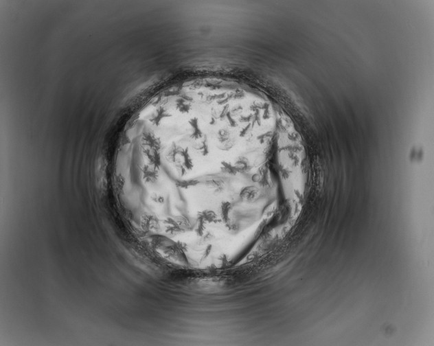 X0000100380692200807031925
