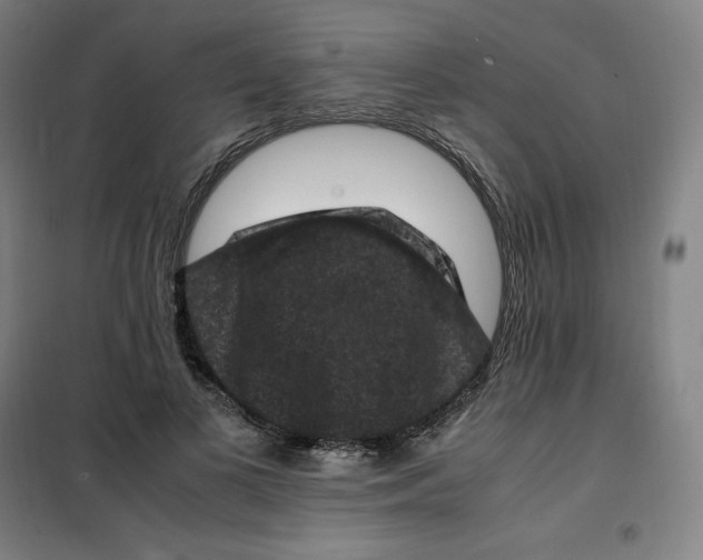 X0000100380693200807031925