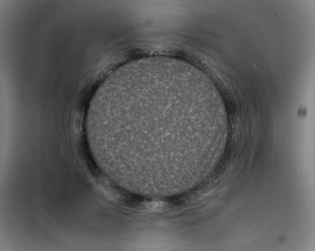 X0000100380695200807031925