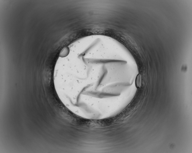 X0000100380697200807031925