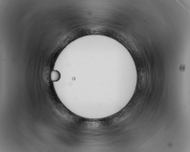 X0000100380698200807031925