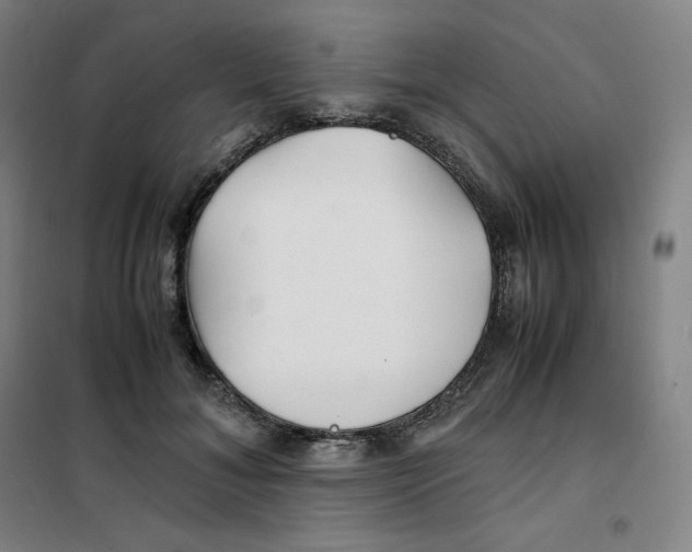X0000100380700200807031925