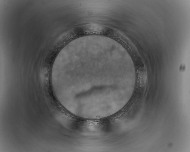 X0000100380701200807031925