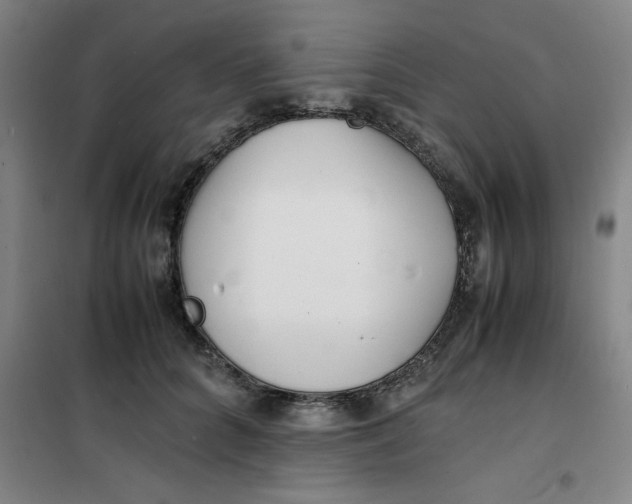 X0000100380704200807031925