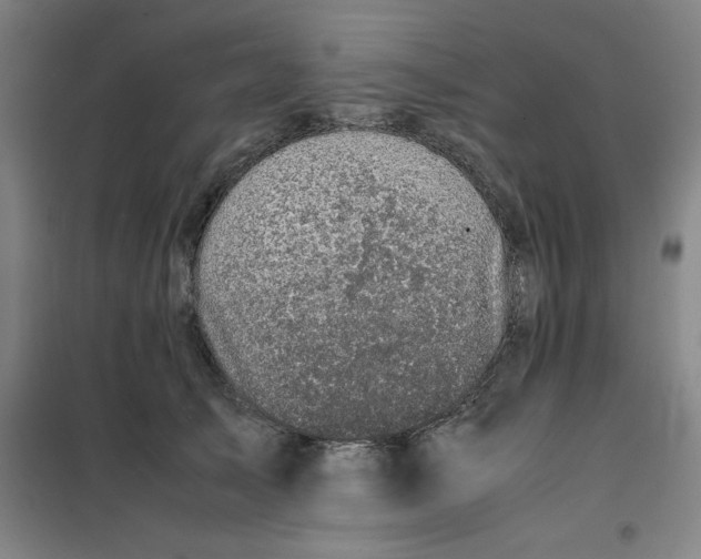 X0000100380705200807031925