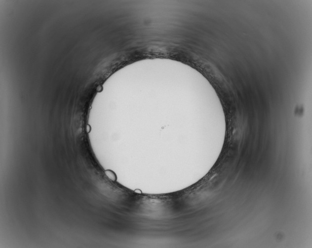 X0000100380706200807031925
