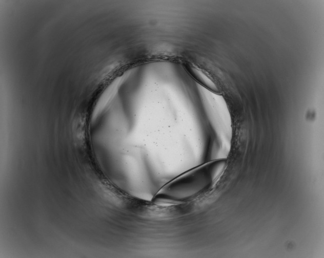 X0000100380708200807031925
