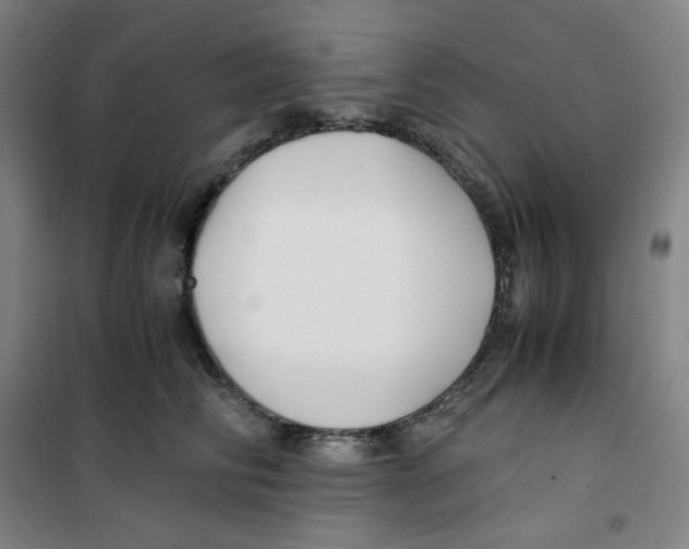 X0000100380710200807031925