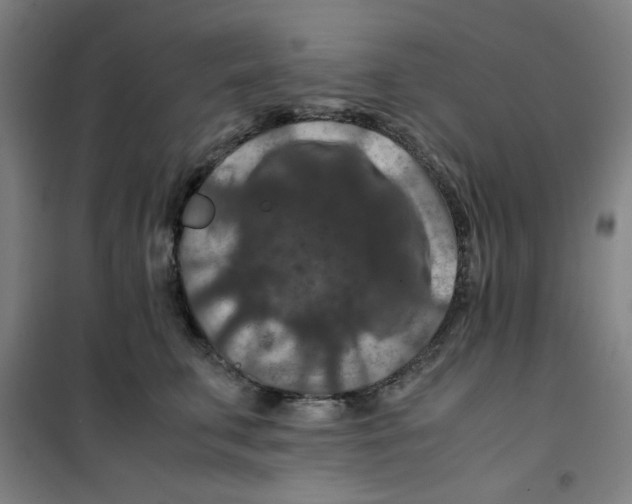 X0000100380711200807031925