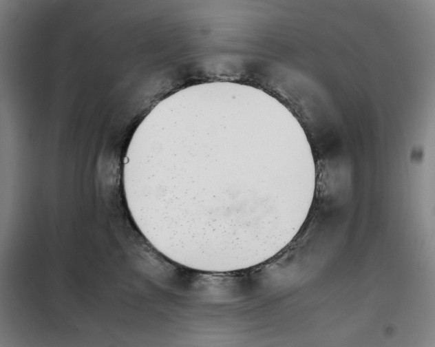 X0000100380713200807031925
