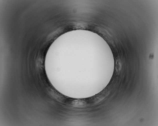 X0000100380714200807031925