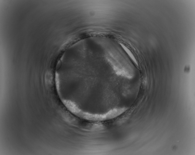 X0000100380715200807031925