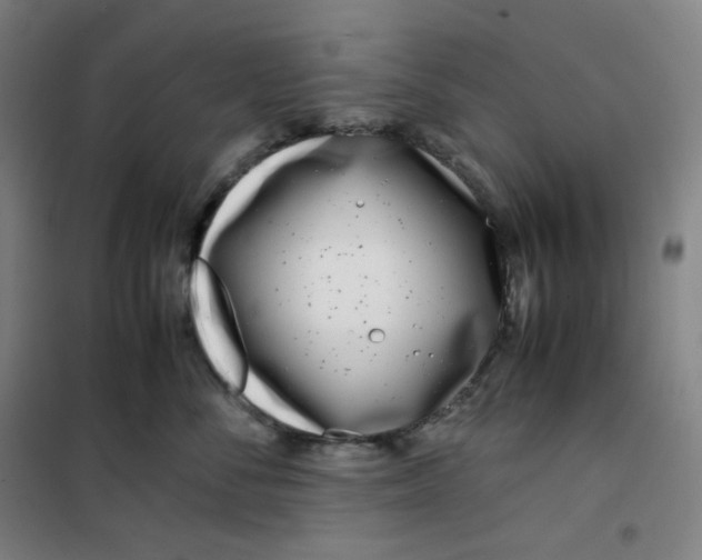 X0000100380716200807031925