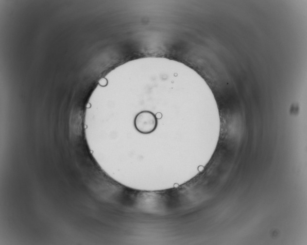 X0000100380717200807031925