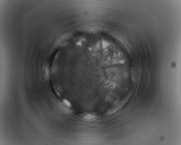 X0000100380718200807031925