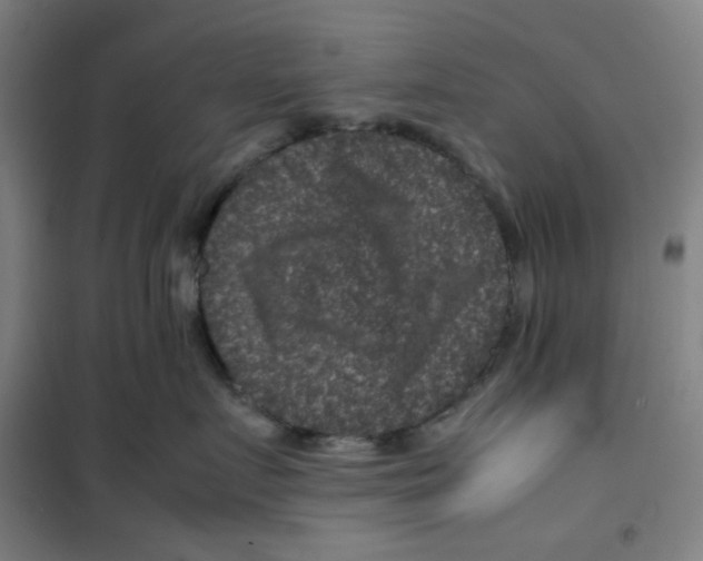 X0000100380719200807031925