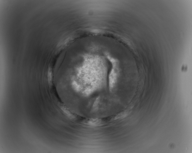 X0000100380720200807031925
