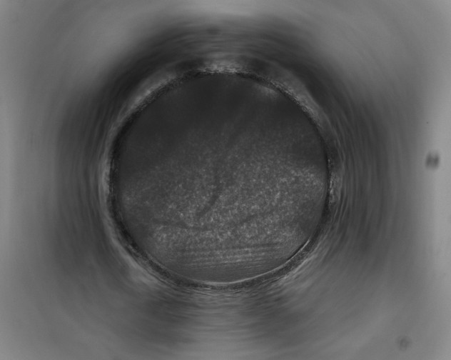 X0000100380722200807031924