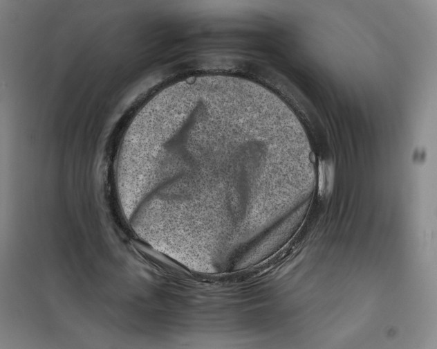 X0000100380723200807031924