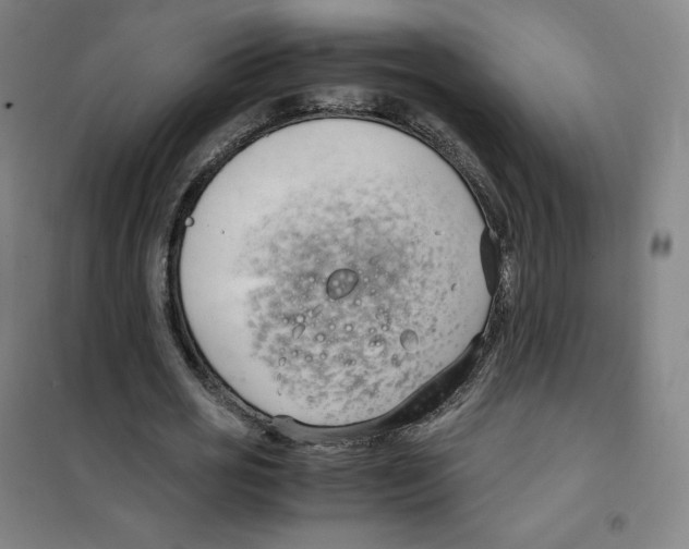 X0000100380725200807031924