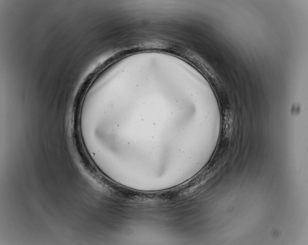 X0000100380726200807031924