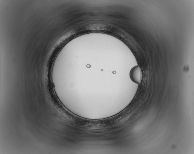 X0000100380727200807031924