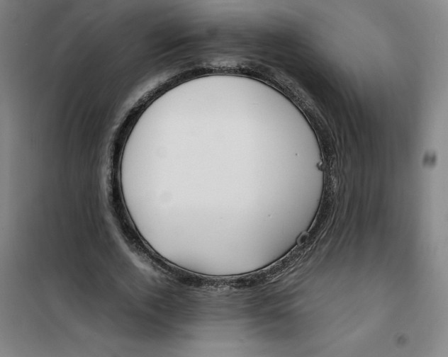 X0000100380728200807031924
