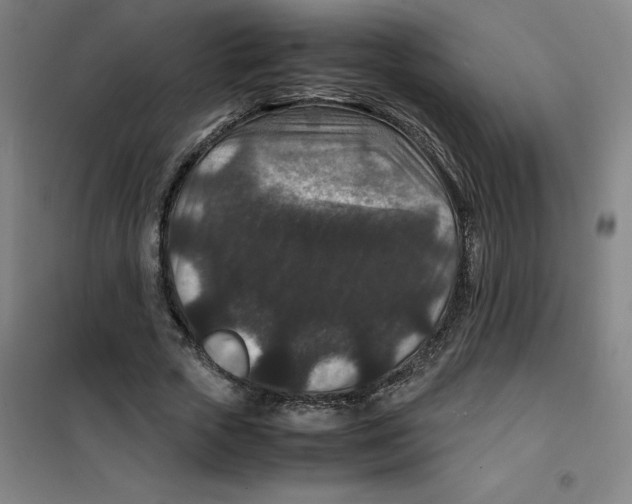 X0000100380729200807031924