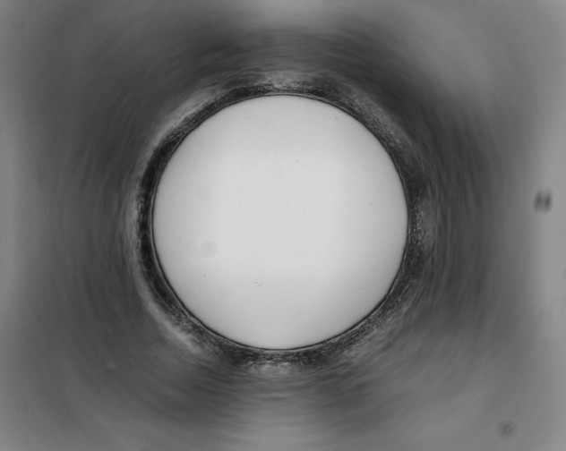 X0000100380730200807031924