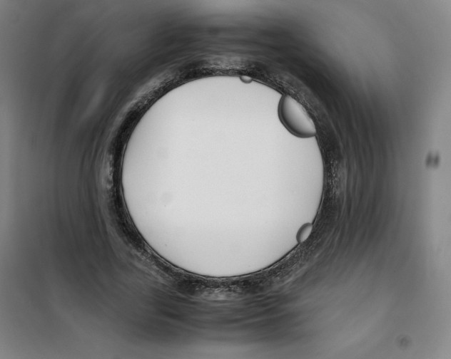 X0000100380731200807031924