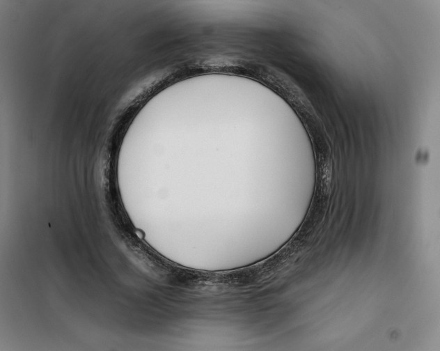 X0000100380732200807031924