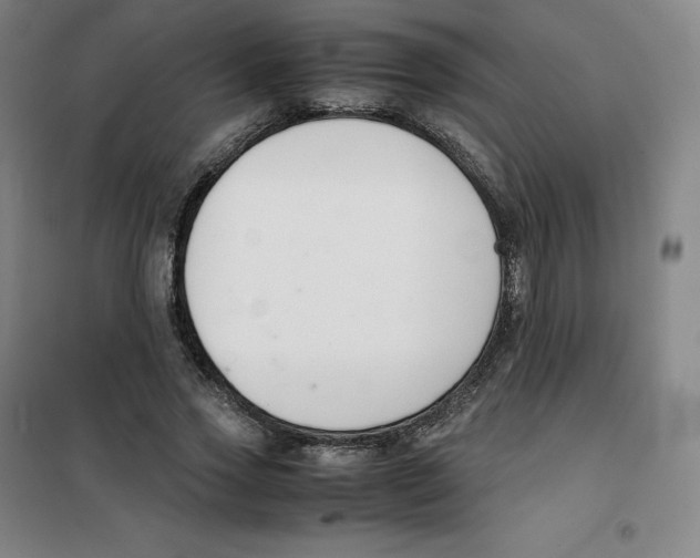 X0000100380733200807031924
