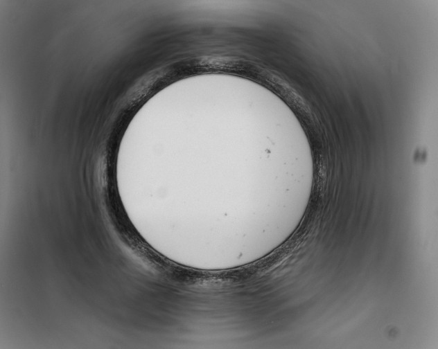X0000100380734200807031924