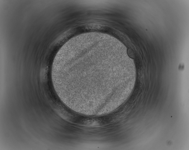 X0000100380735200807031924