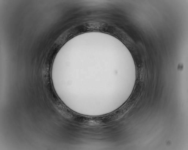 X0000100380737200807031925