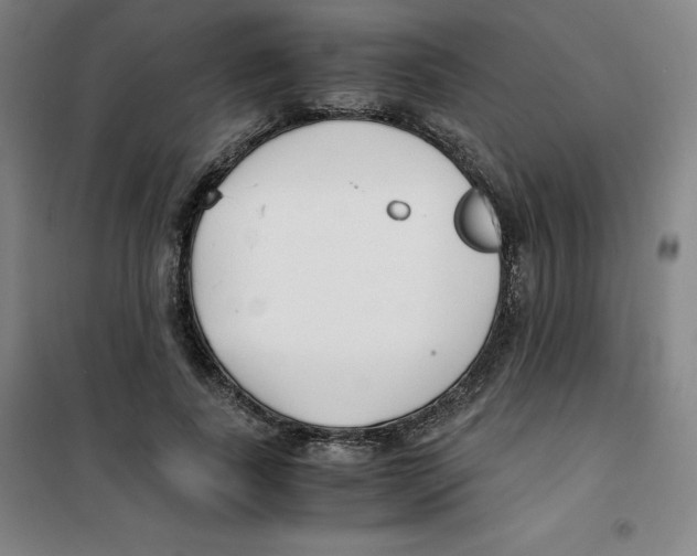 X0000100380739200807031925