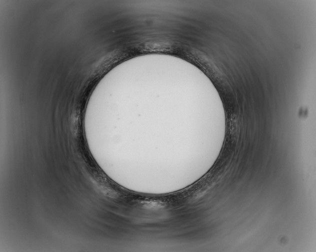 X0000100380741200807031925