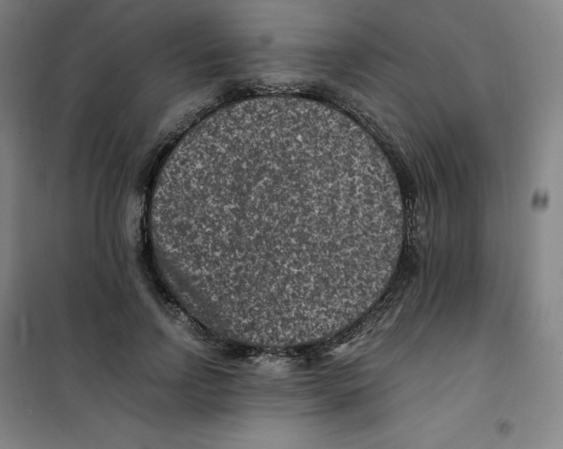 X0000100380742200807031925