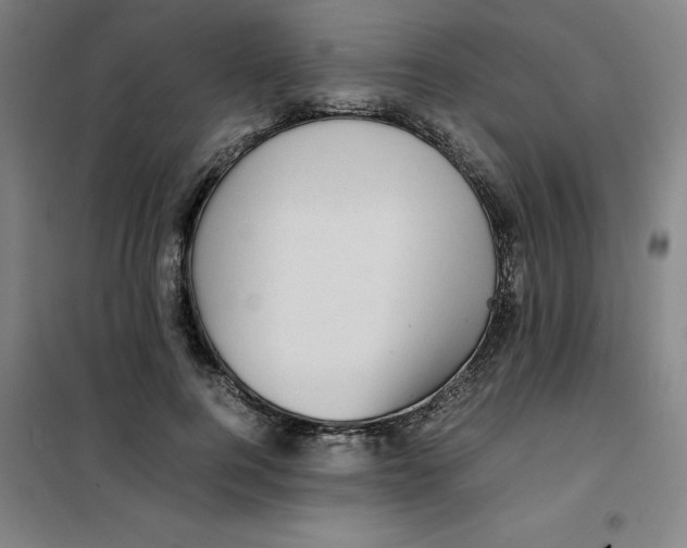 X0000100380744200807031925