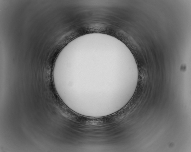 X0000100380745200807031925