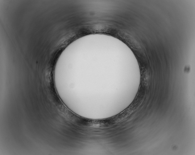 X0000100380746200807031925