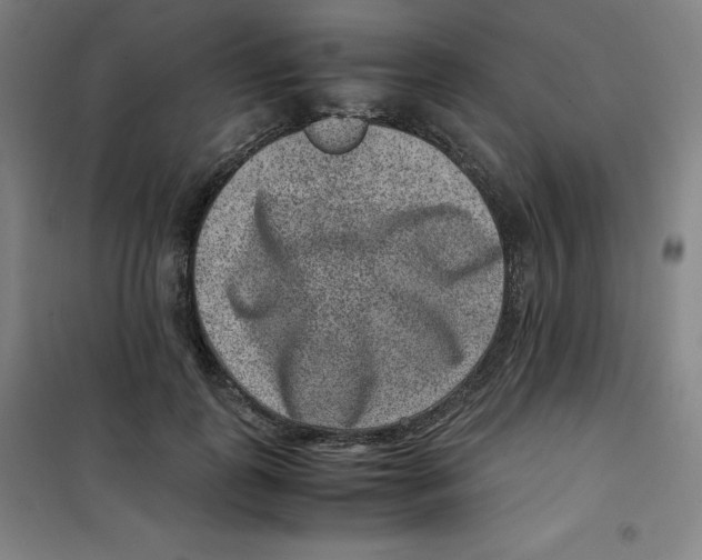 X0000100380747200807031925