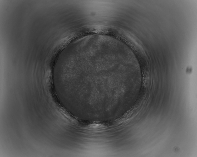 X0000100380748200807031925