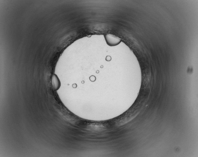 X0000100380749200807031925