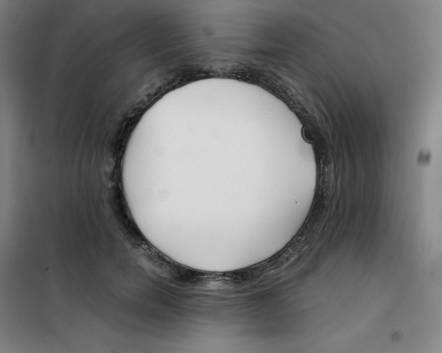 X0000100380750200807031925
