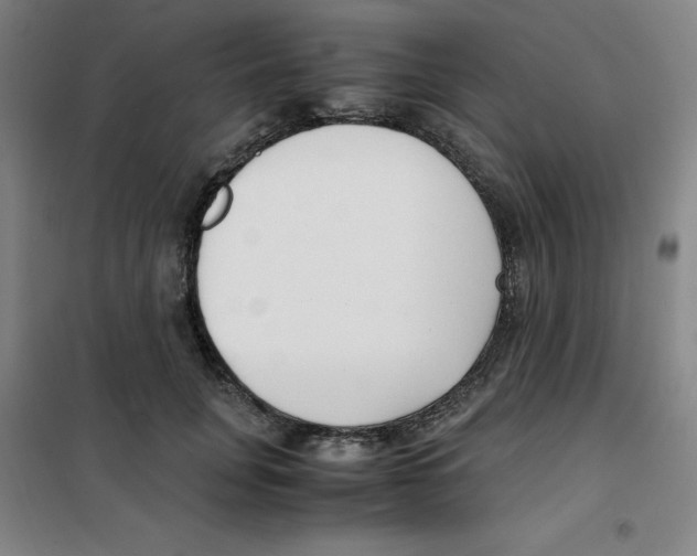 X0000100380751200807031925