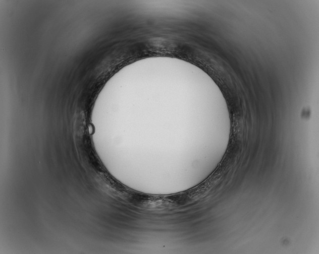 X0000100380752200807031925