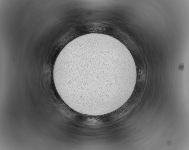 X0000100380753200807031925