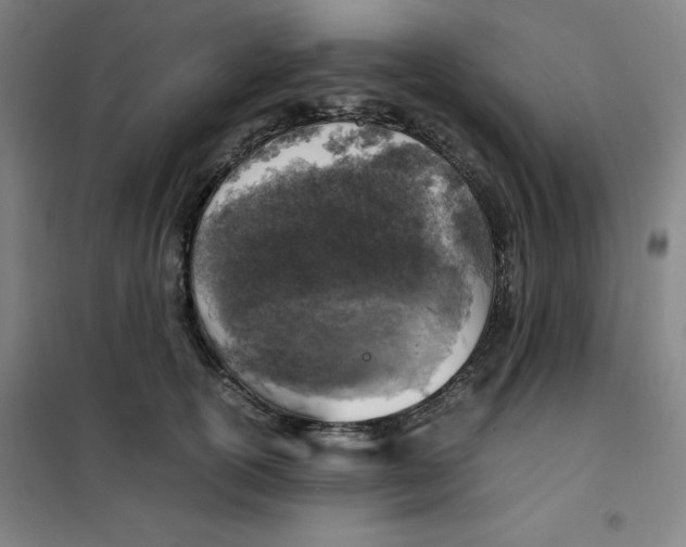 X0000100380754200807031925