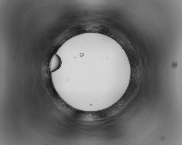 X0000100380755200807031925